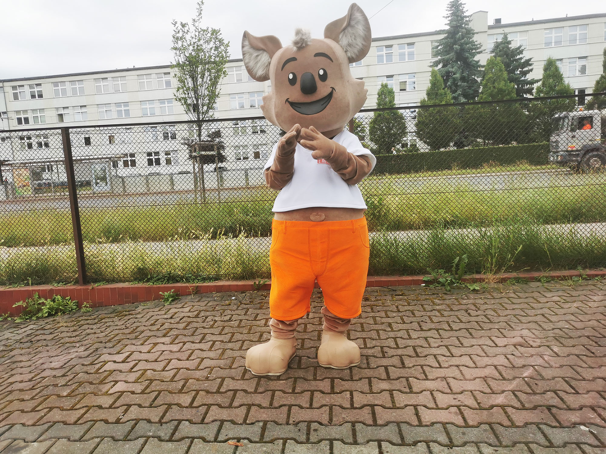Jesteśmy logistycznie przygotowani do wielkich projektów strojów reklamowych! Miś